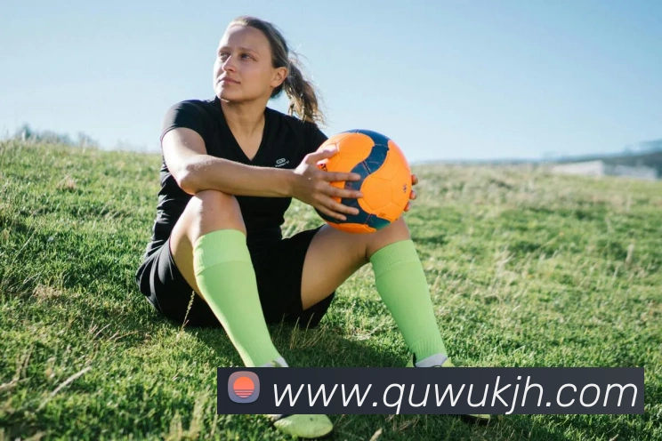 米兰网页版登录入口平台生态图