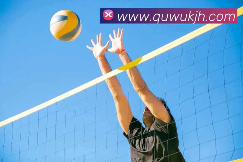 米兰网页版登录入口APP 封面图